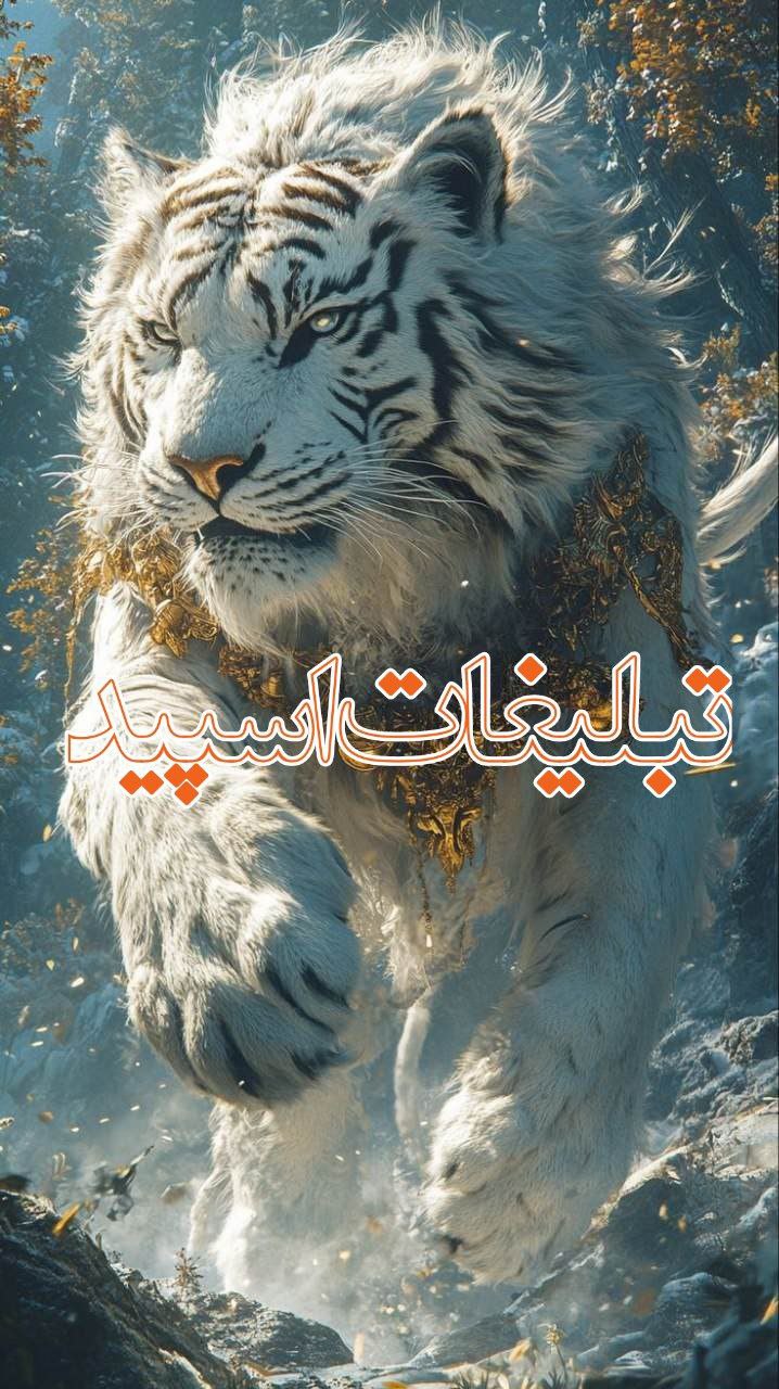 تبلیغات