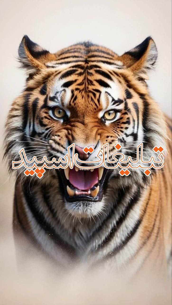 تبلیغات