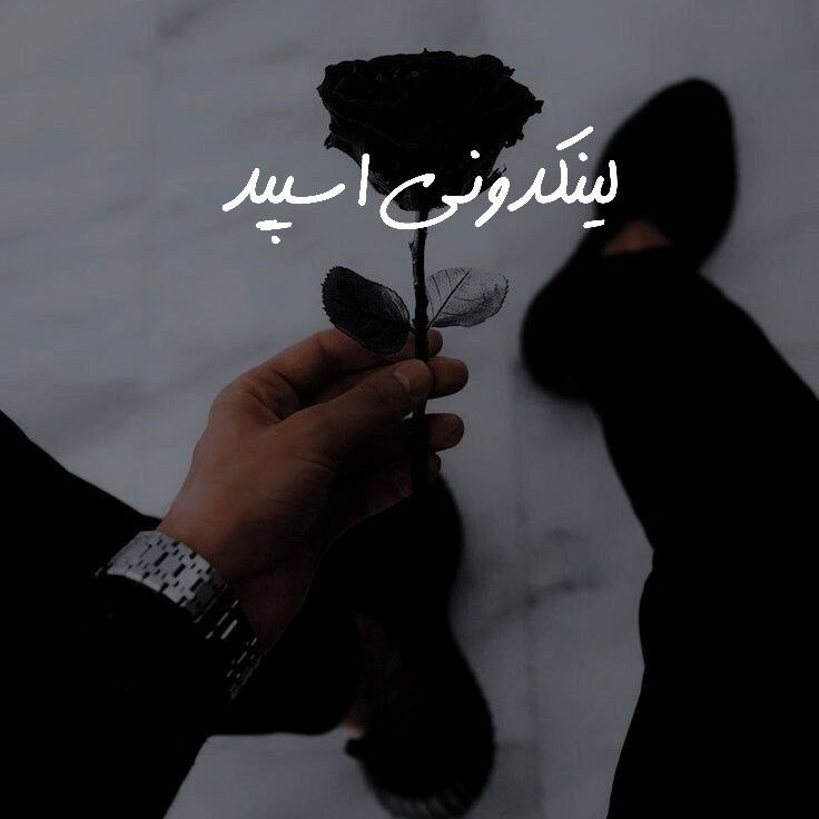 تبلیغات کانال گروه تلگرام میتینگ قشنگای مازندران

گروه واتساپ در تهران  گپ واتساپ برای بازاریابی  لینکدونی واتساپ پربازدید