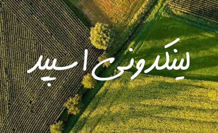 تبلیغات کانال گپ تلگرام امپراطوری دهه 50/60/70

استخدام اینستاگرام اصفهان  بازاریابی واتساپ اصفهان  آگهی رایگان اصفهان
