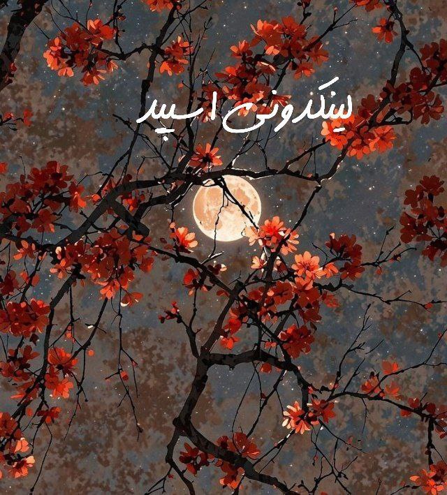 تبلیغات کانال گروه تلگرام کافه عشقولیای بامزه کیش

چتکده واتساپ برای بازاریابی  گروهیاب واتساپ برای برندینگ