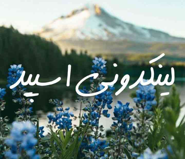 تصویر کارت