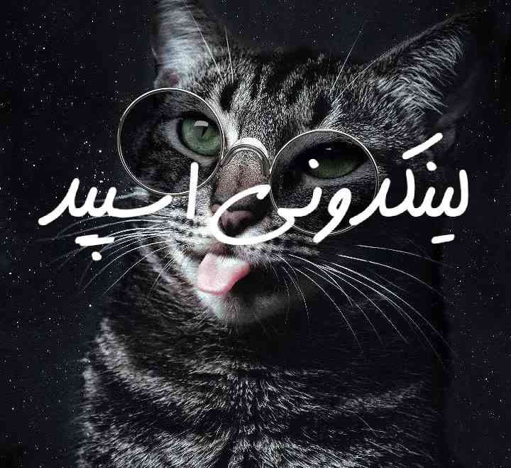 تصویر کارت
