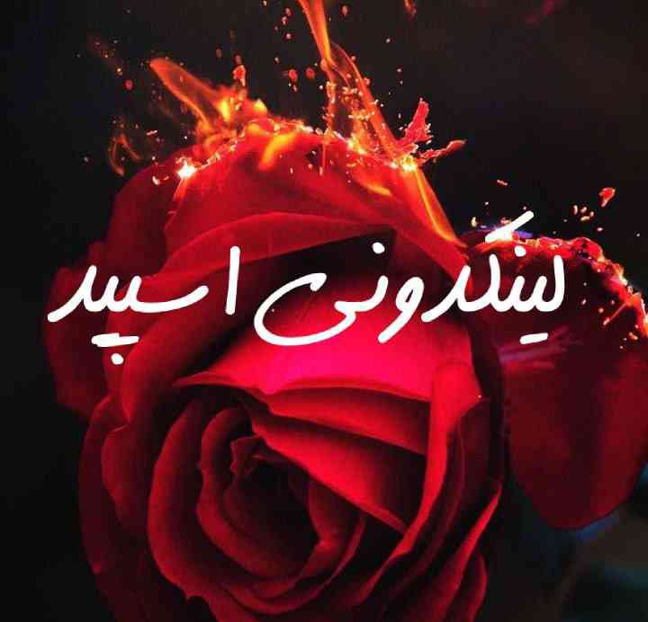تصویر کارت