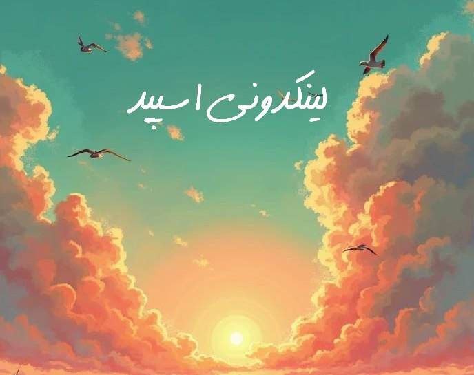 تصویر کارت