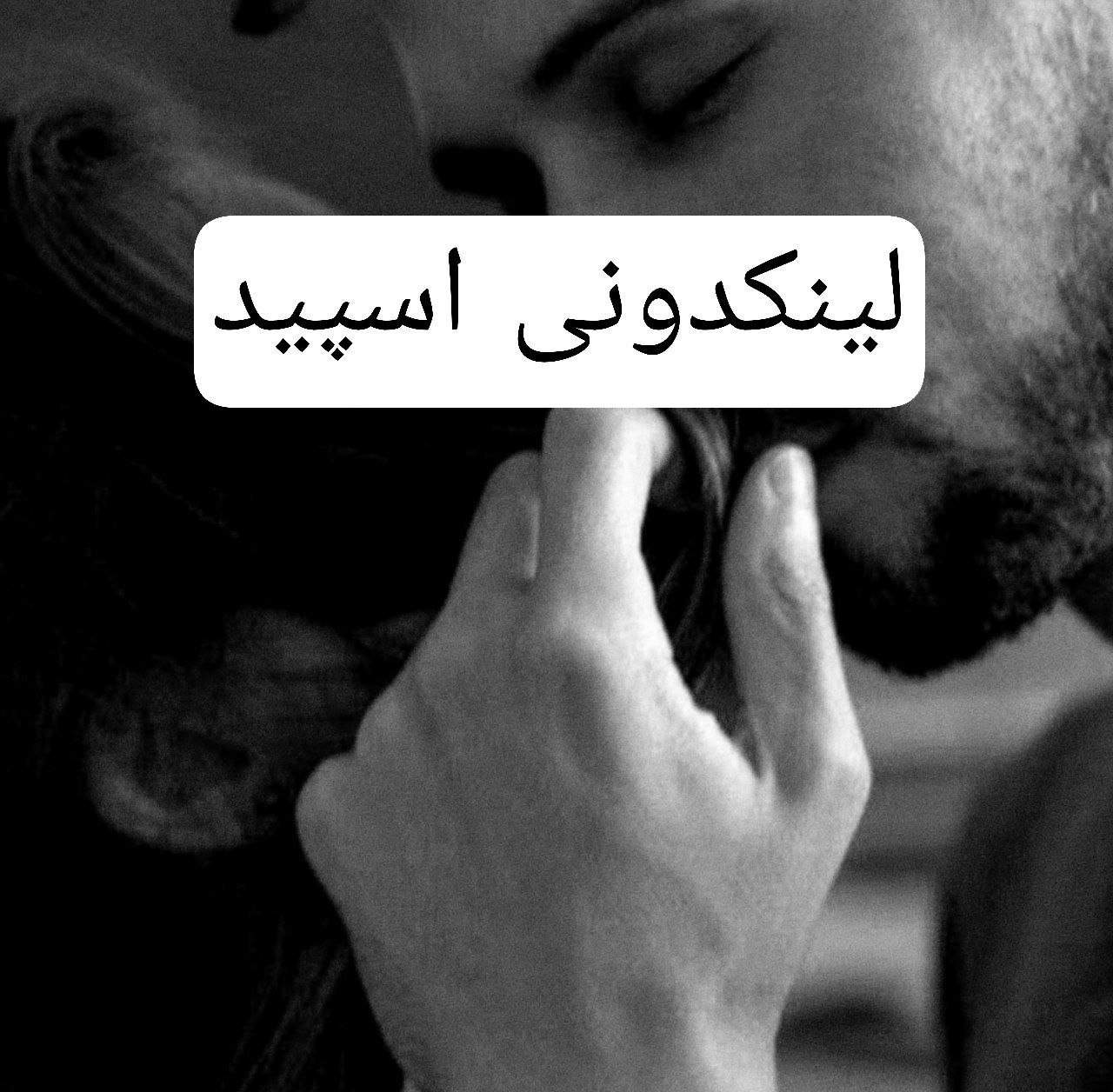 تبلیغات کانال گروه تلگرام میتینگ وحید

گروهیاب اینستاگرام برای فروش محصول  کلمات کلیدی برای تبلیغات و خدمات