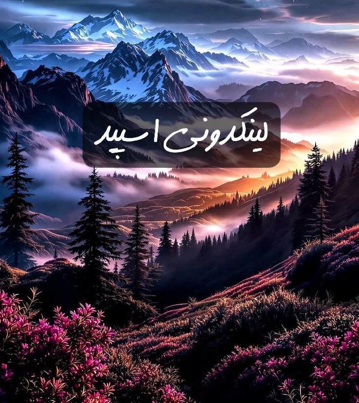 تبلیغات کانال گروه تلگرام دورهمی ناب 

چتکده روبیکا محلی  گروهیاب روبیکا تخصصی  لینکیاب گروه روبیکا ۲۰۲۵  لینکدونی روبیکا برای برندینگ