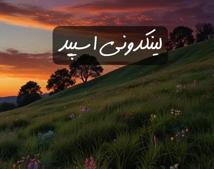 تبلیغات کانال گروه تلگرام قصر سفید 

تبلیغات سایت برای برندینگ  ثبت سایت برای خدمات دیجیتال  خدمات سایت برای استارتاپ