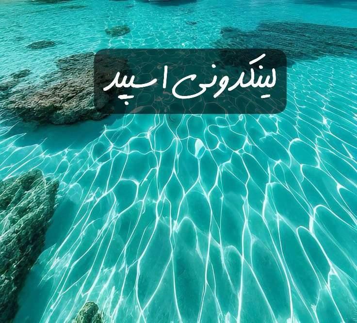 تبلیغات کانال گپ تلگرام دختر پسرای ناب 

لینکدونی ایتا مرکزی  لینکدونی سروش مرکزی  لینکدونی روبیکا مرکزی 