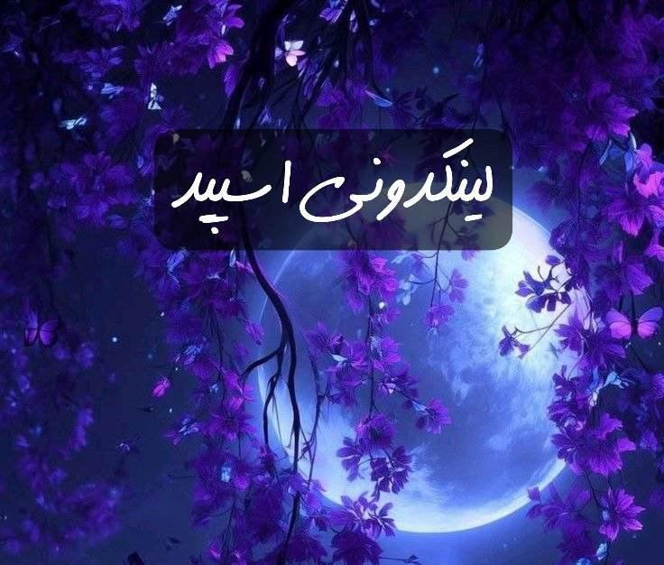 تبلیغات کانال گروه تلگرام لک سیتی 

سایت ایتا هرمزگان  سایت سروش هرمزگان  سایت روبیکا هرمزگان 
