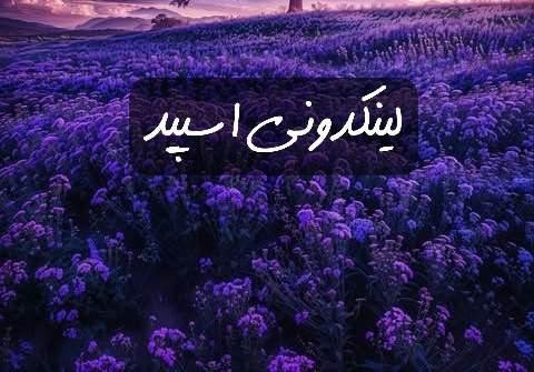 تبلیغات کانال گپ تلگرام دختر پسرای بندر عباس و بوشهر 

خدمات تلگرام مازندران  خدمات اینستاگرام مازندران  خدمات واتساپ مازندران 