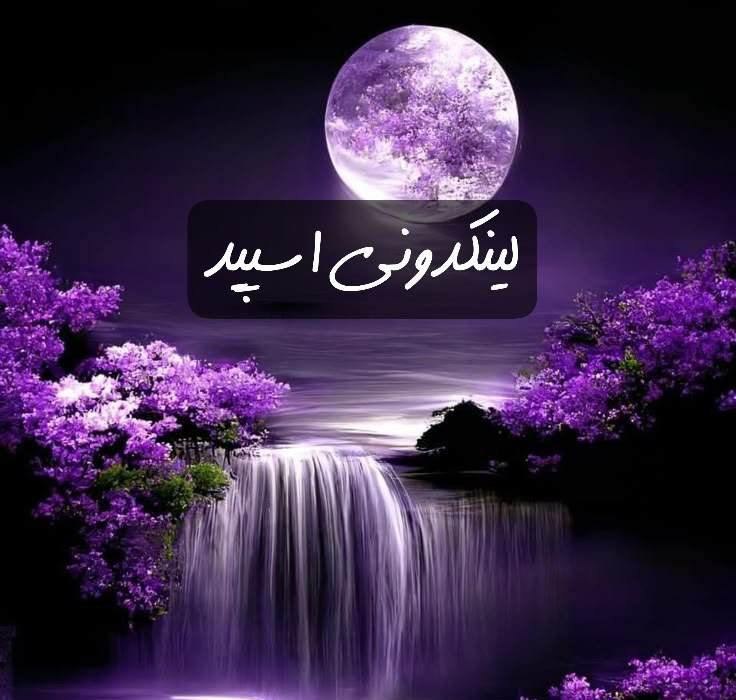 تبلیغات کانال گروه تلگرام کلبه عشاق 

خدمات تلگرام هرمزگان  خدمات اینستاگرام هرمزگان  خدمات واتساپ هرمزگان 
