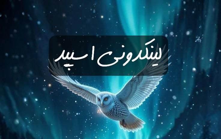 تبلیغات کانال گپ تلگرام دهه شصتی های 

فروشگاه تلگرام مرکزی  فروشگاه اینستاگرام مرکزی  فروشگاه واتساپ مرکزی 