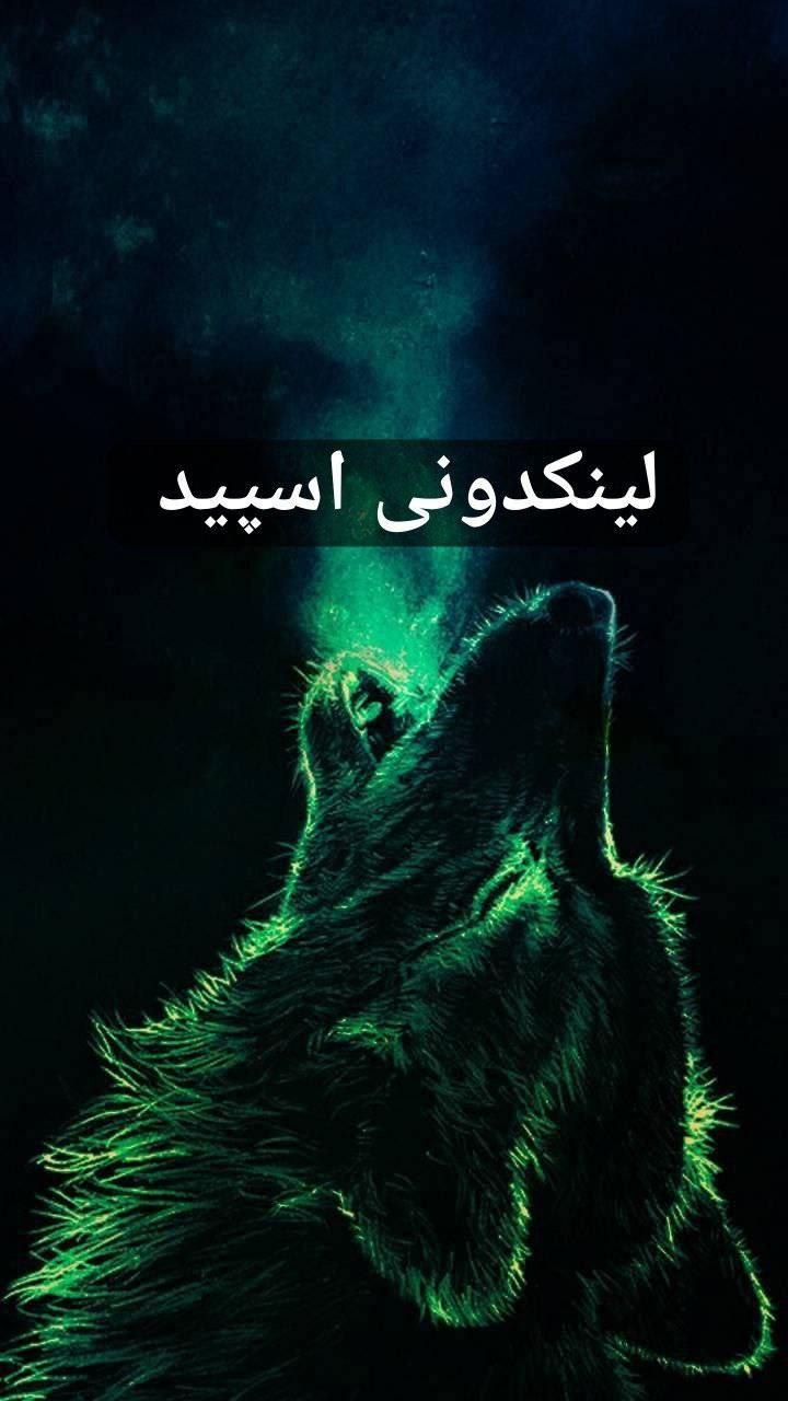 تبلیغات کانال گروه تلگرام رفقای ابدی 

تبلیغات واتساپ کهگیلویه و بویراحمد  تبلیغات ایتا کهگیلویه و بویراحمد 