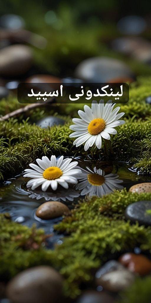تبلیغات کانال گروه تلگرام قاطی پاتی 

تبلیغات ایتا گلستان  تبلیغات سروش گلستان  تبلیغات روبیکا گلستان