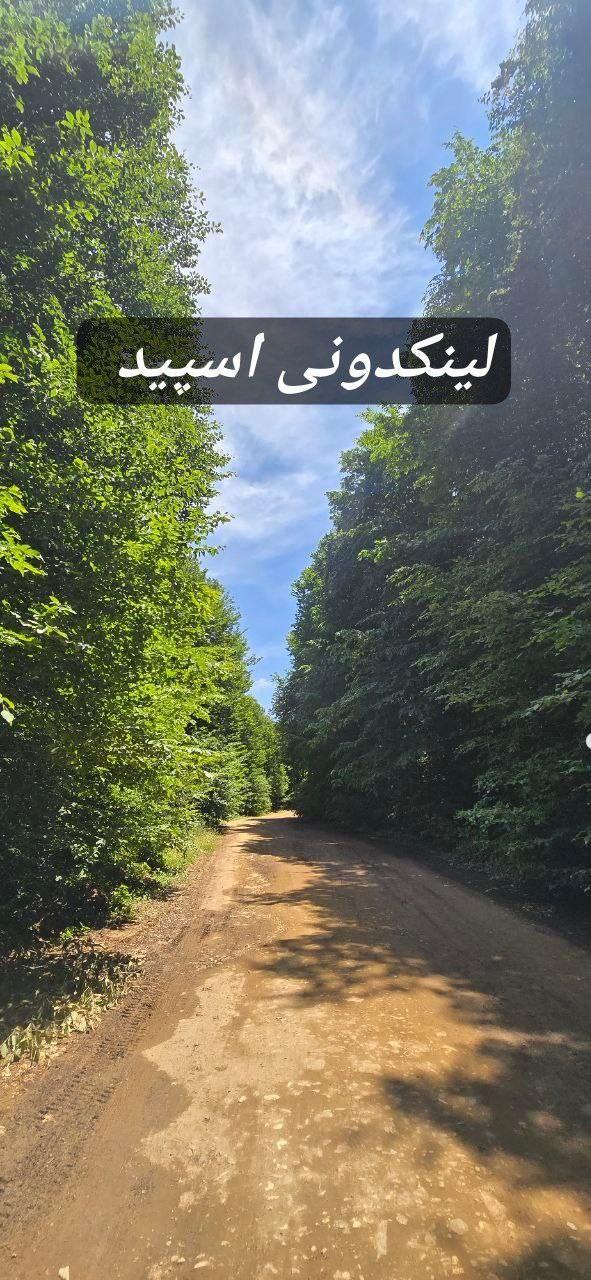 تبلیغات کانال گروه تلگرام پسر دخترای ایرانی 

تبلیغات ایتا گیلان  تبلیغات سروش گیلان  تبلیغات روبیکا گیلان