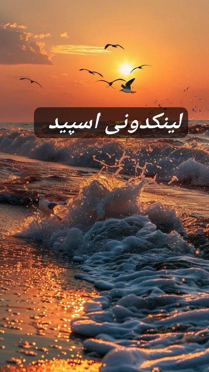 تبلیغات کانال گپ تلگرام دورهمی ناب 

سایت ایتا قم  سایت سروش قم  سایت روبیکا قم