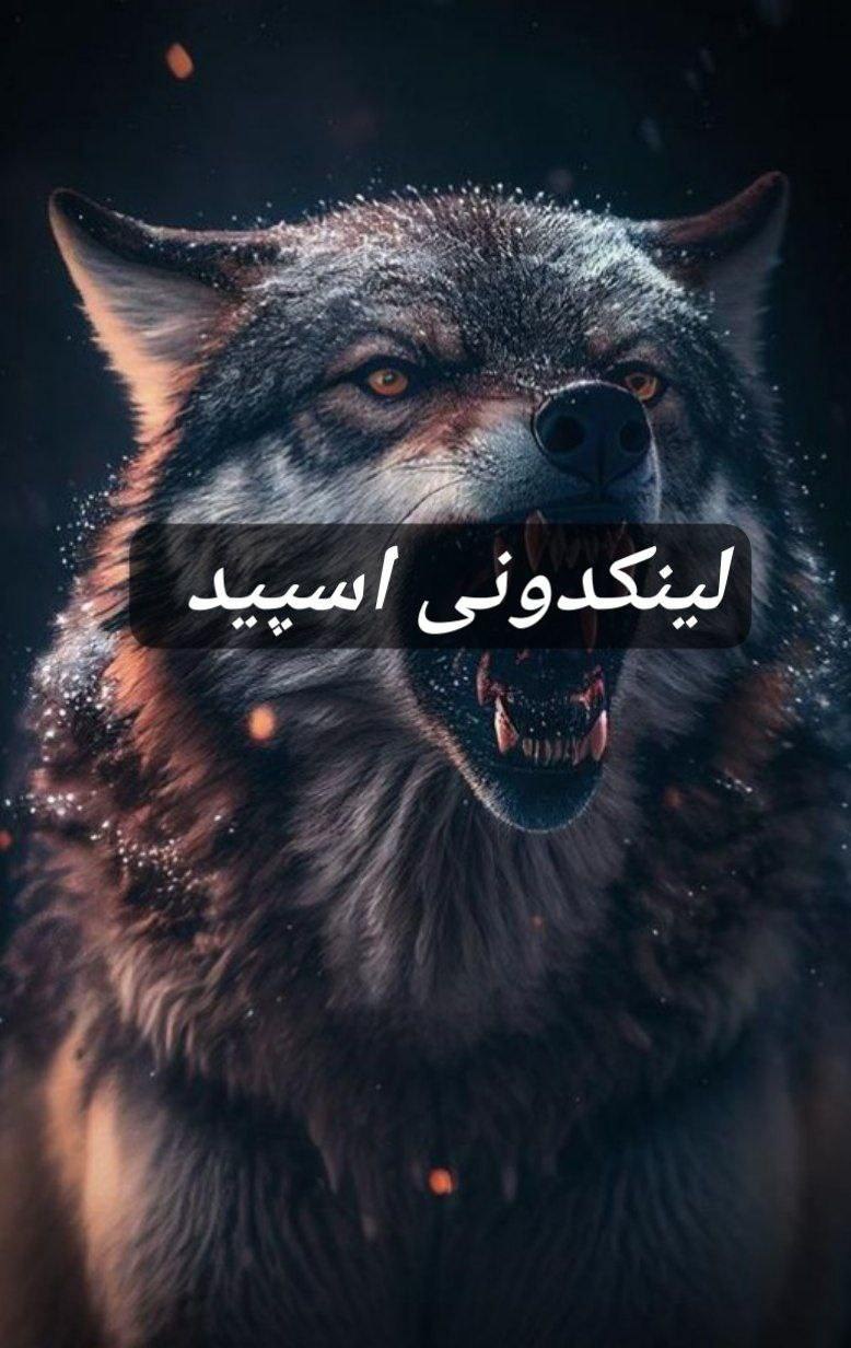 تبلیغات کانال گروه تلگرام بچه های نسبتابد 

لینکدونی سروش سیستان و بلوچستان  لینکدونی روبیکا سیستان و بلوچستان 