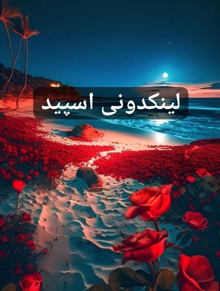 تبلیغات کانال گپ‌تلگرام سیتا دل 

گپ روبیکا برای برندینگ ۲۰۲۵  چت روبیکا برای کسب‌وکار کوچک  گروهیاب روبیکا برای تبلیغات سریع
