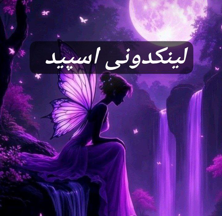 تبلیغات کانال گپ تلگرام نوردلند 

لینکدونی روبیکا تخصصی  گروه روبیکا در قم  تبلیغات هدفمند گروه روبیکا ۲۰۲۵