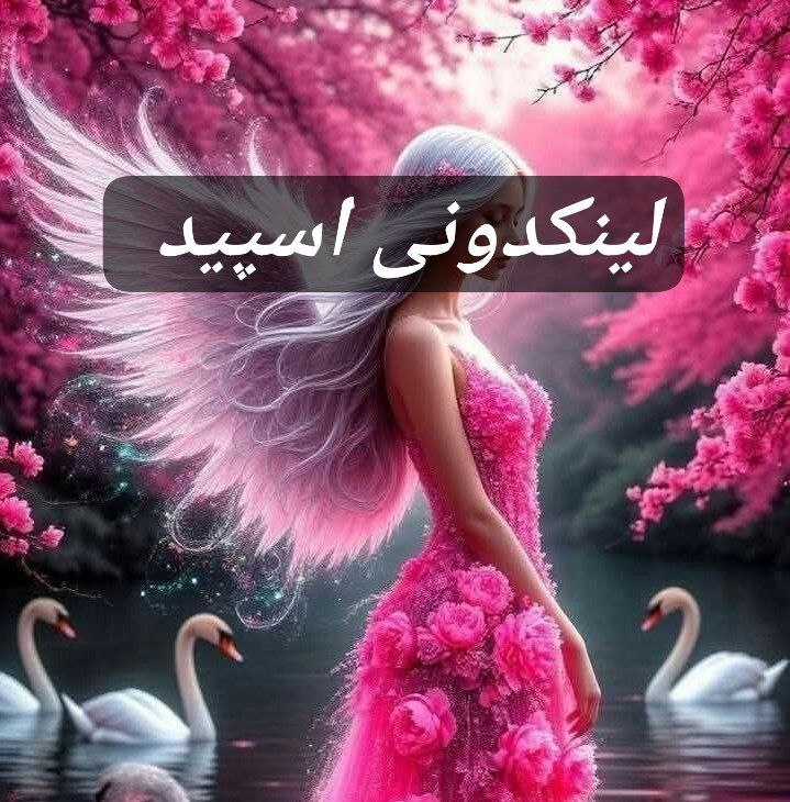 تبلیغات کانال گروه تلگرام چت دوستانه 

لینکدونی روبیکا برای تبلیغات محلی  چتکده روبیکا برای آموزش آنلاین  گروهیاب روبیکا برای فروش محصول
