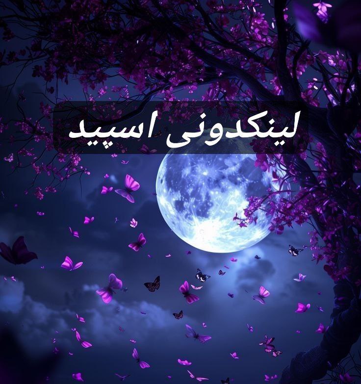 تبلیغات کانال گروه تلگرام دورهمی خوبان 

آگهی سریع کانال روبیکا  تبلیغات کانال روبیکا برای برندینگ  ثبت کانال روبیکا برای خدمات دیجیتال