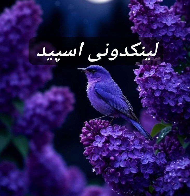 تبلیغات کانال گروه تلگرام دختر پسرای شمال و جنوبی 

آگهی کانال روبیکا برای خدمات  کانال روبیکا در بندرعباس  خدمات مجازی روبیکا برای برند