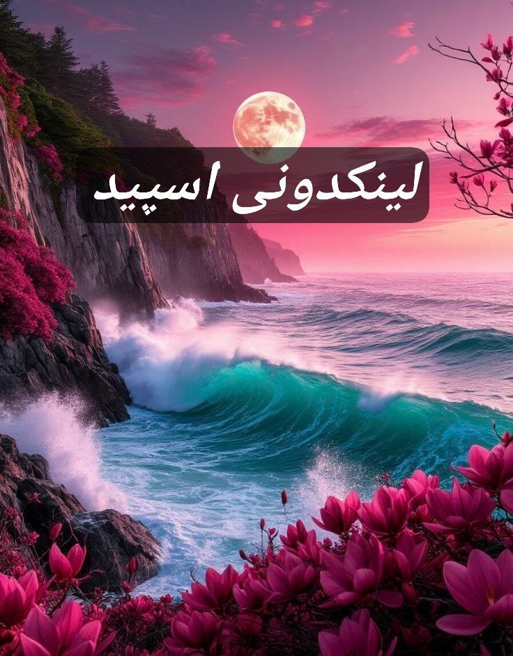 تبلیغات کانال گروه تلگرام لویال فرندز 

گروهکده ایتا برای فروش ۲۰۲۵  تبلیغات گروه ایتا برای کسب‌وکار  گروه ایتا برای خدمات حرفه‌ای