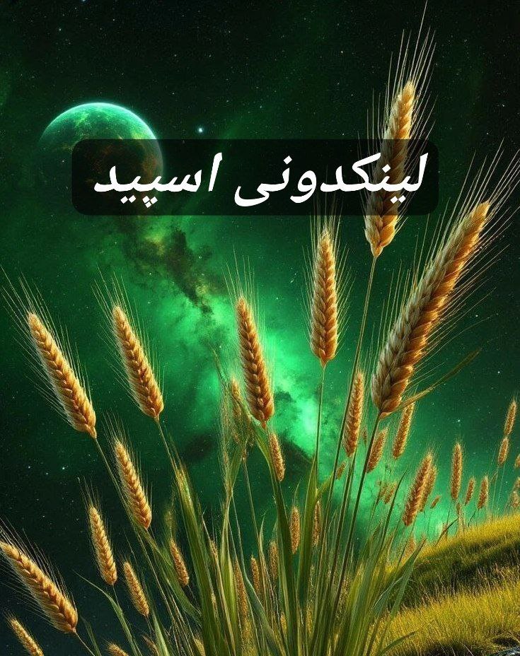 تبلیغات کانال گروه تلگرام اتحاد قلب ها.کردستان 

کانال ایتا پرمخاطب ۲۰۲۵  تبلیغات سریع کانال ایتا  ثبت کانال ایتا برای آموزش  کانال ایتا برای استخدام سریع