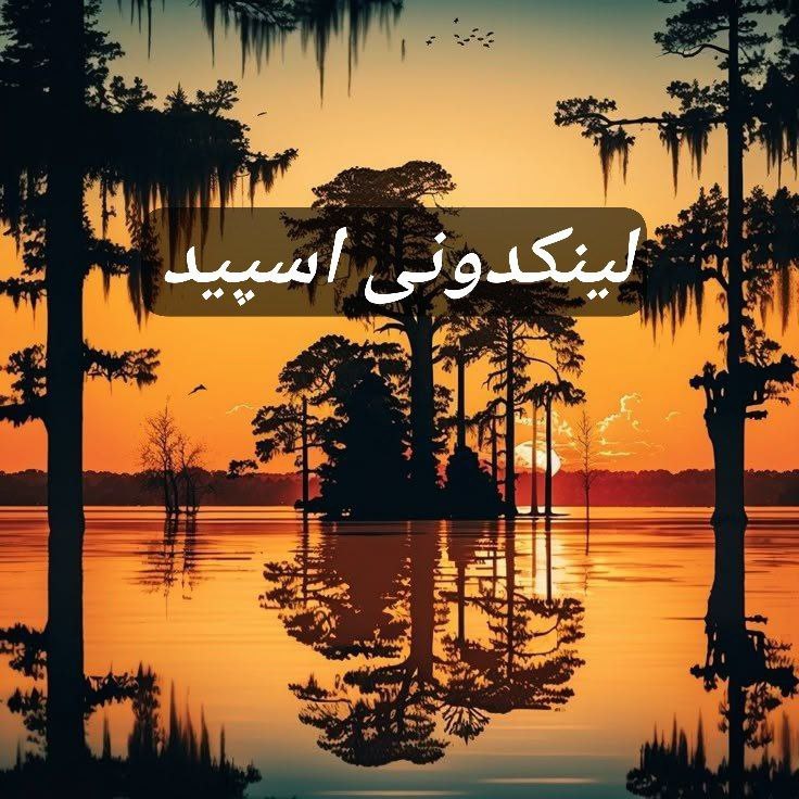 تبلیغات کانال گروه تلگرام سیاه و سفید 

لینکدونی ایتا خراسان شمالی  لینکدونی سروش خراسان شمالی  لینکدونی روبیکا خراسان شمالی