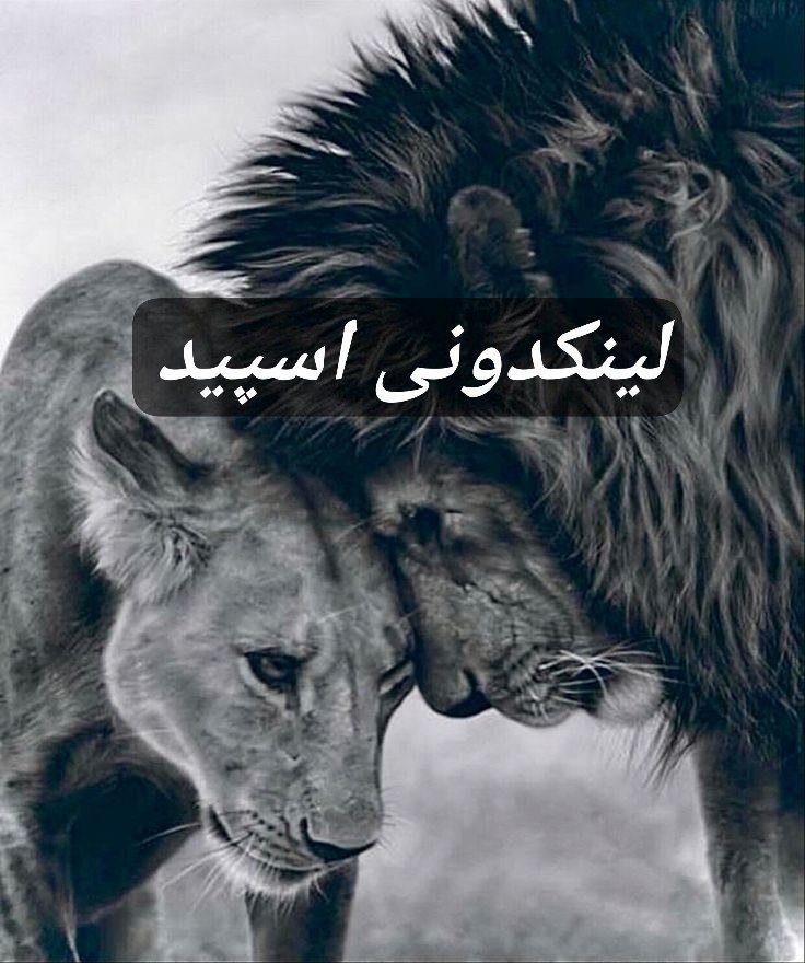 تبلیغات کانال گروه تلگرام کافه چت شب های بی تو 

تبلیغات ایتا سیستان و بلوچستان  تبلیغات روبیکا سیستان و بلوچستان