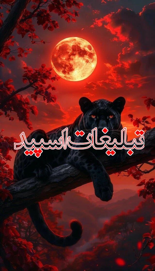تبلیغات