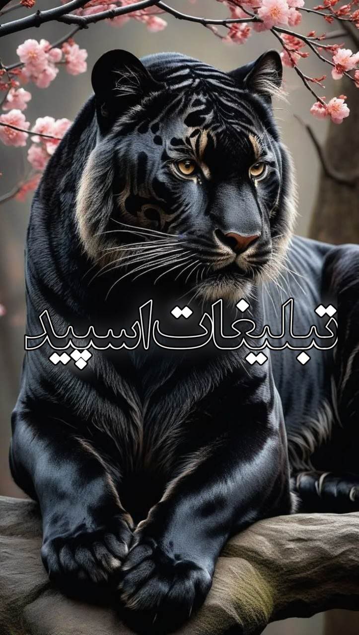 ❤️دورهمی دوستان ❤️ (4)