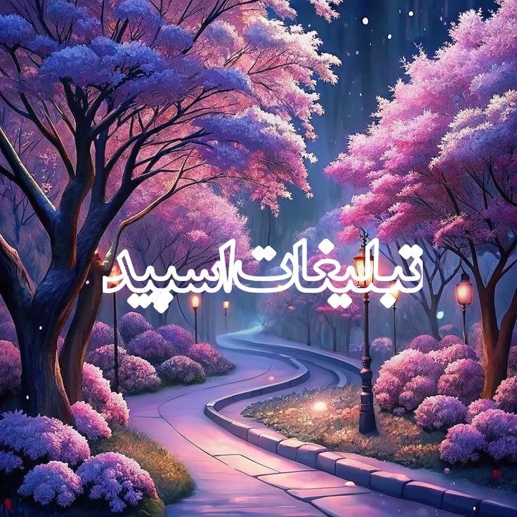 آوای عاشقی (4)