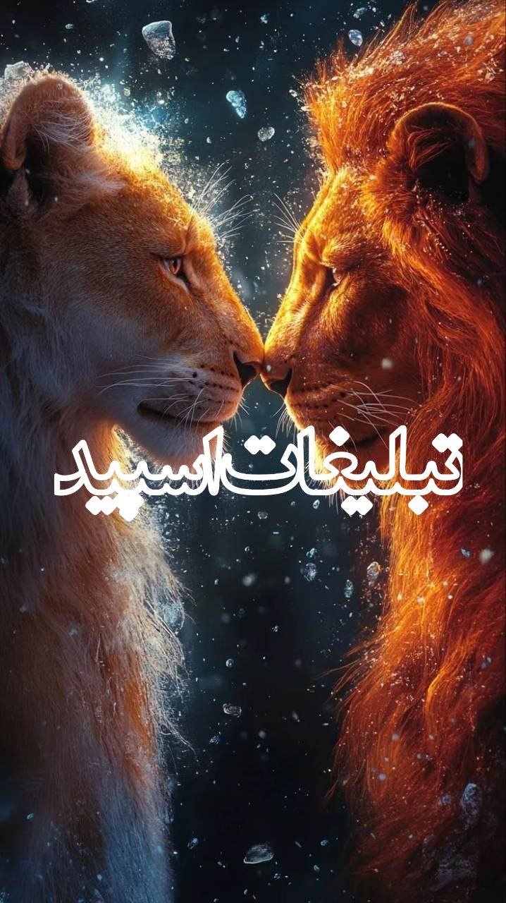 وایلد ولف (193)