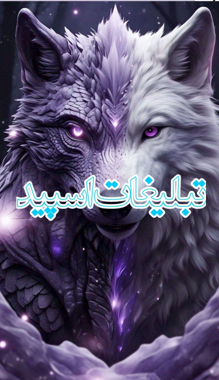 اکیپ دوستان خاص