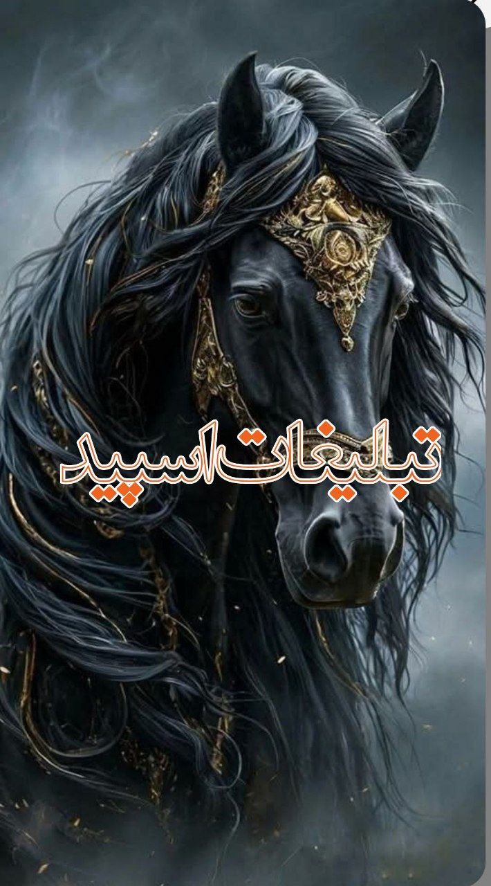 ༒•𝐓 𝐇 𝐄 𝐊 𝐈 𝐍 𝐆•༒ (1)