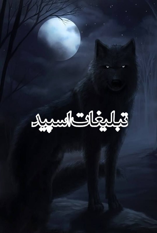شب نشینی (1)
