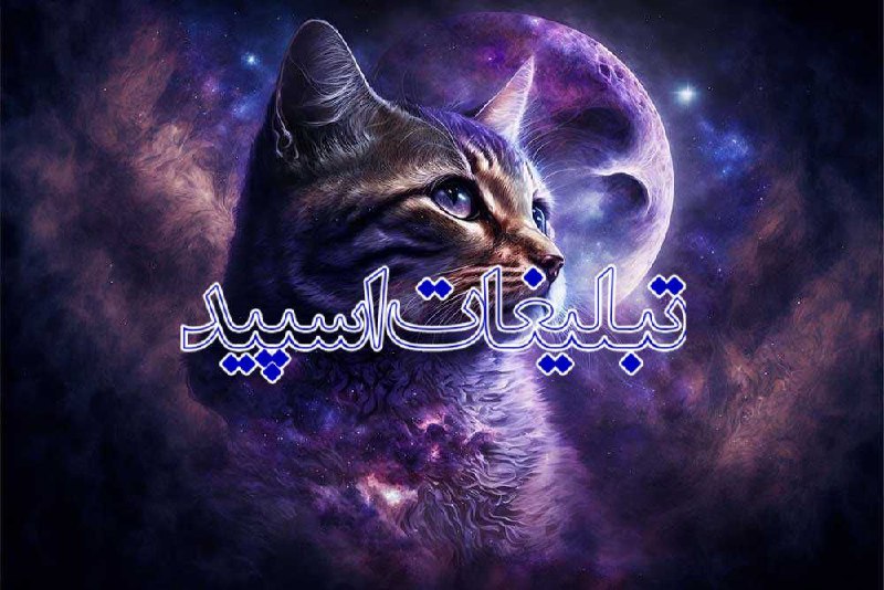 🌹پاتوق ترک 🌹