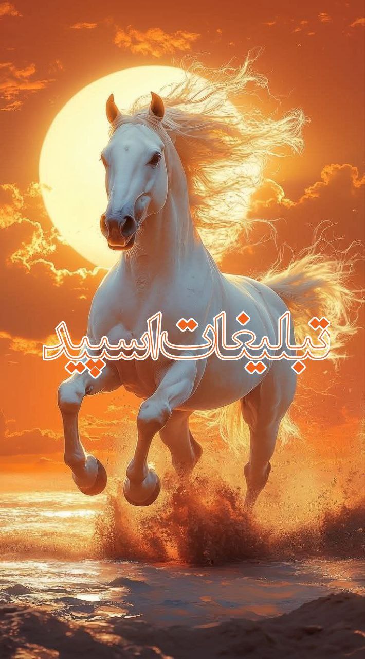 اکیپ دوستان خاص (4)