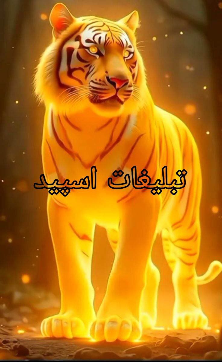 قلمروی ملکه (12)