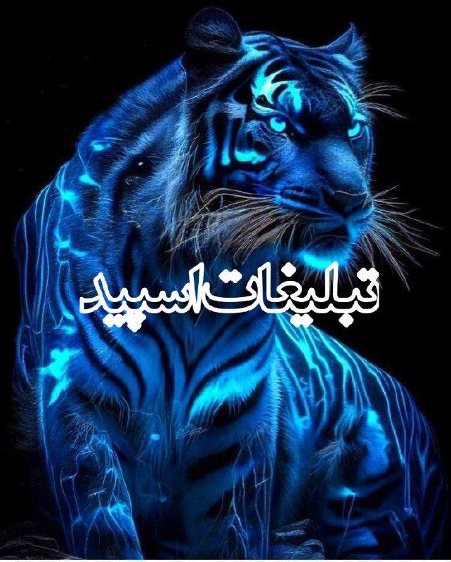 دورهمی مجردا