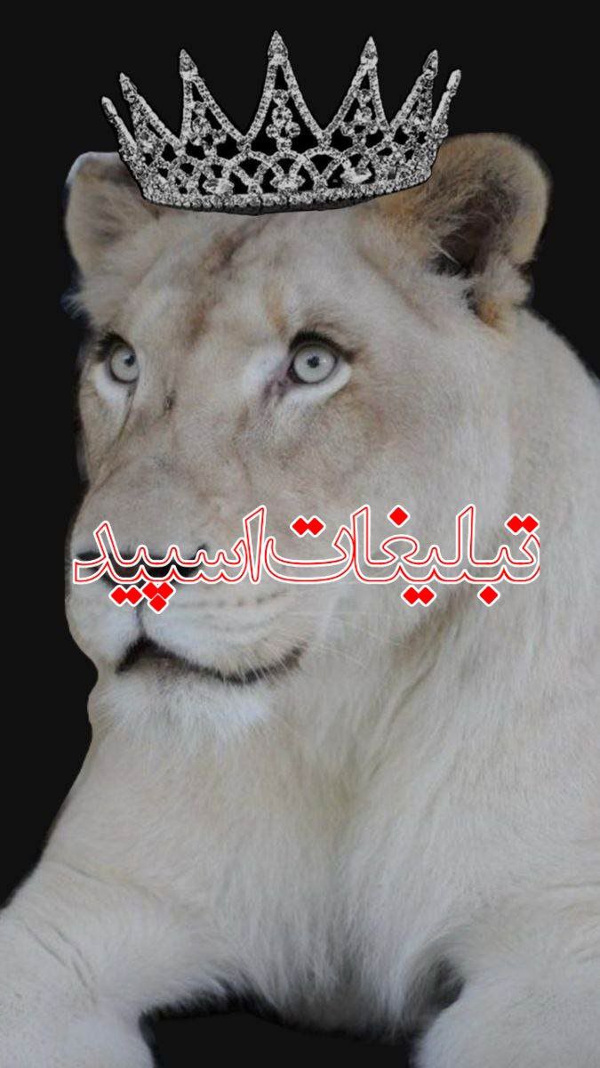 ༺ 𝔹𝕝𝕒𝕔𝕜 𝕽𝕠𝕤𝕖 ༻