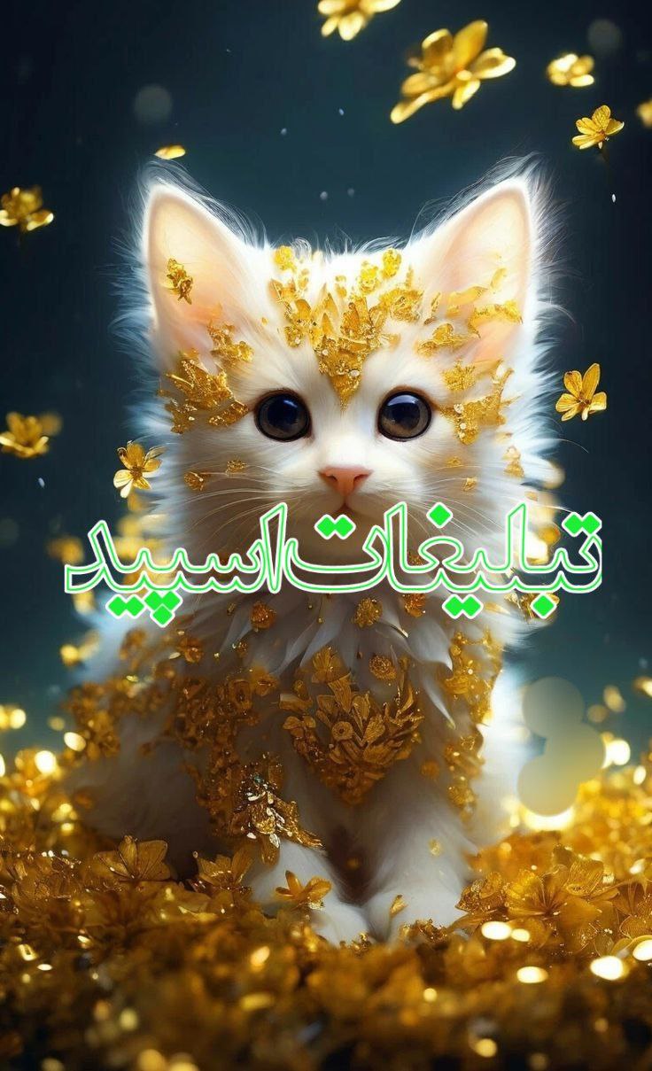 دورهمی کورد