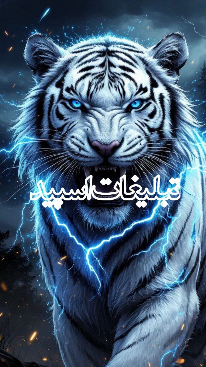 دَِوَِسَِــَِتَِـاَِنَِ بَِاَِمَِــَِرَِاَِمَِــَِ (11)