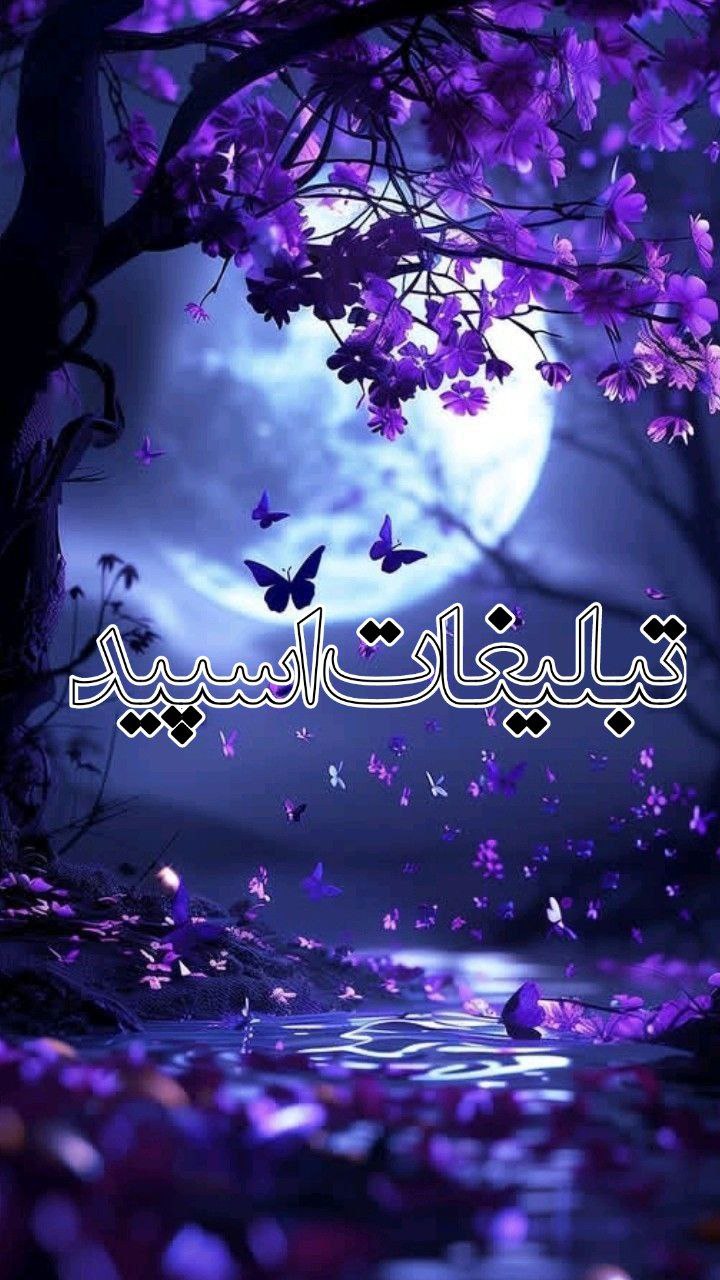 چتکده مجرد ومتاهل ها🌺 (2)