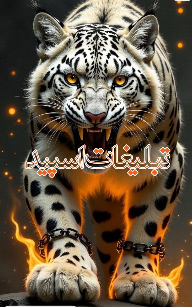وایلدولف (19)