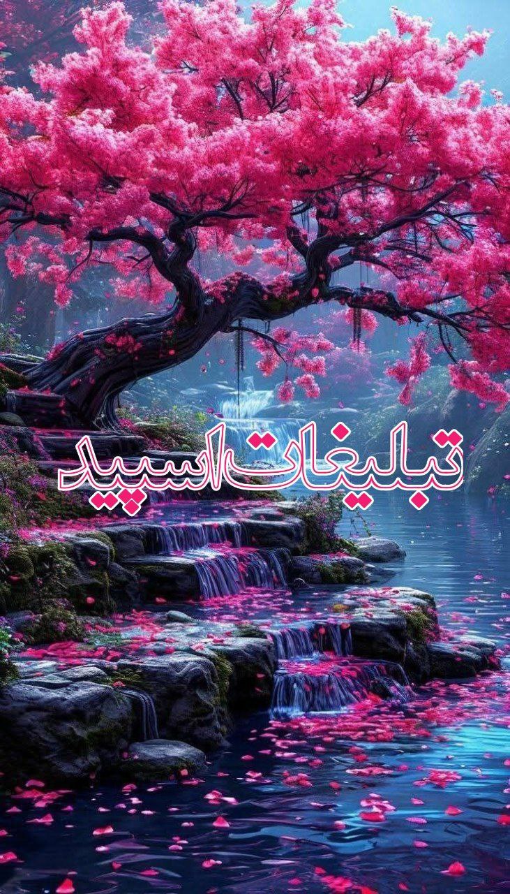 ❍𖤓«حــریم ؏شق»𖤓❍