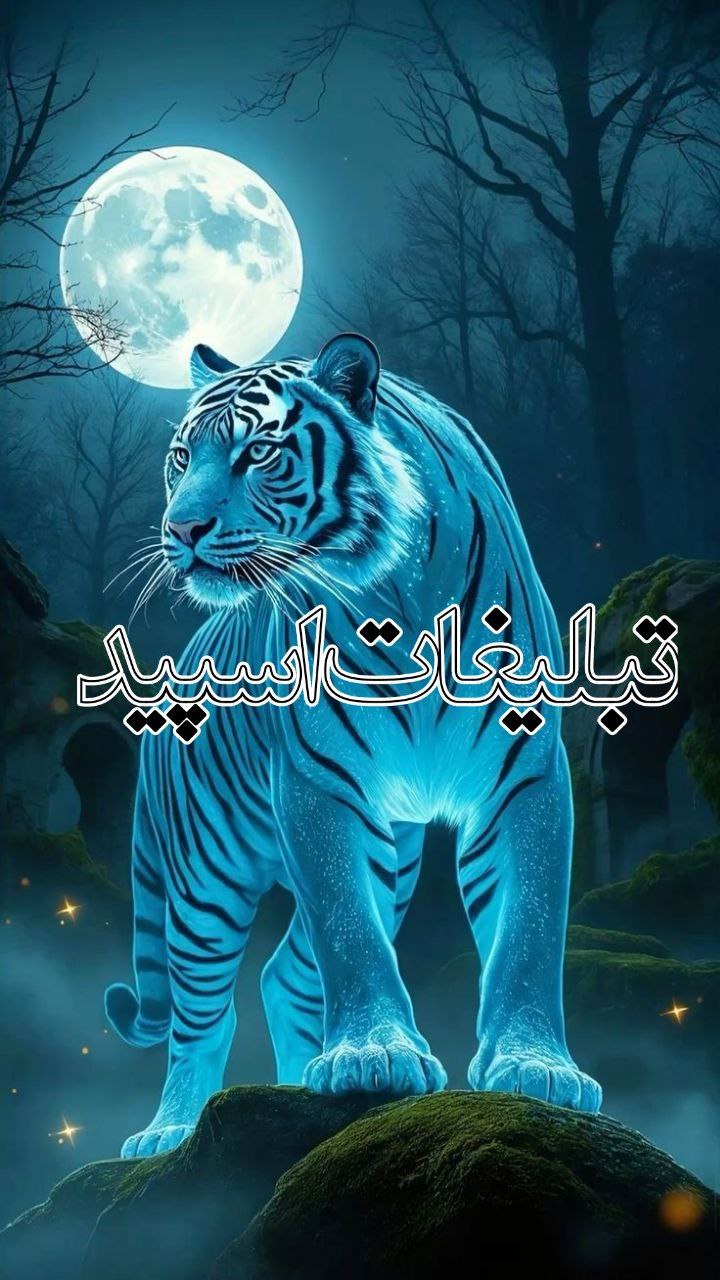 🕊♛ 𝕯𝑬𝐋 𝐂ⅈ𝑻Ꭹ ☬ (10)