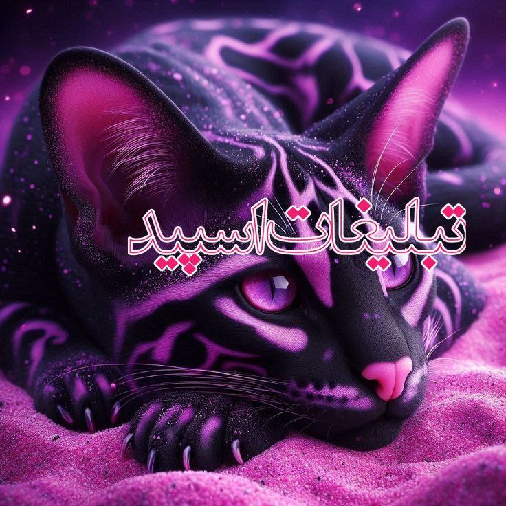 وایلد ولف|WILD WOLF (41)